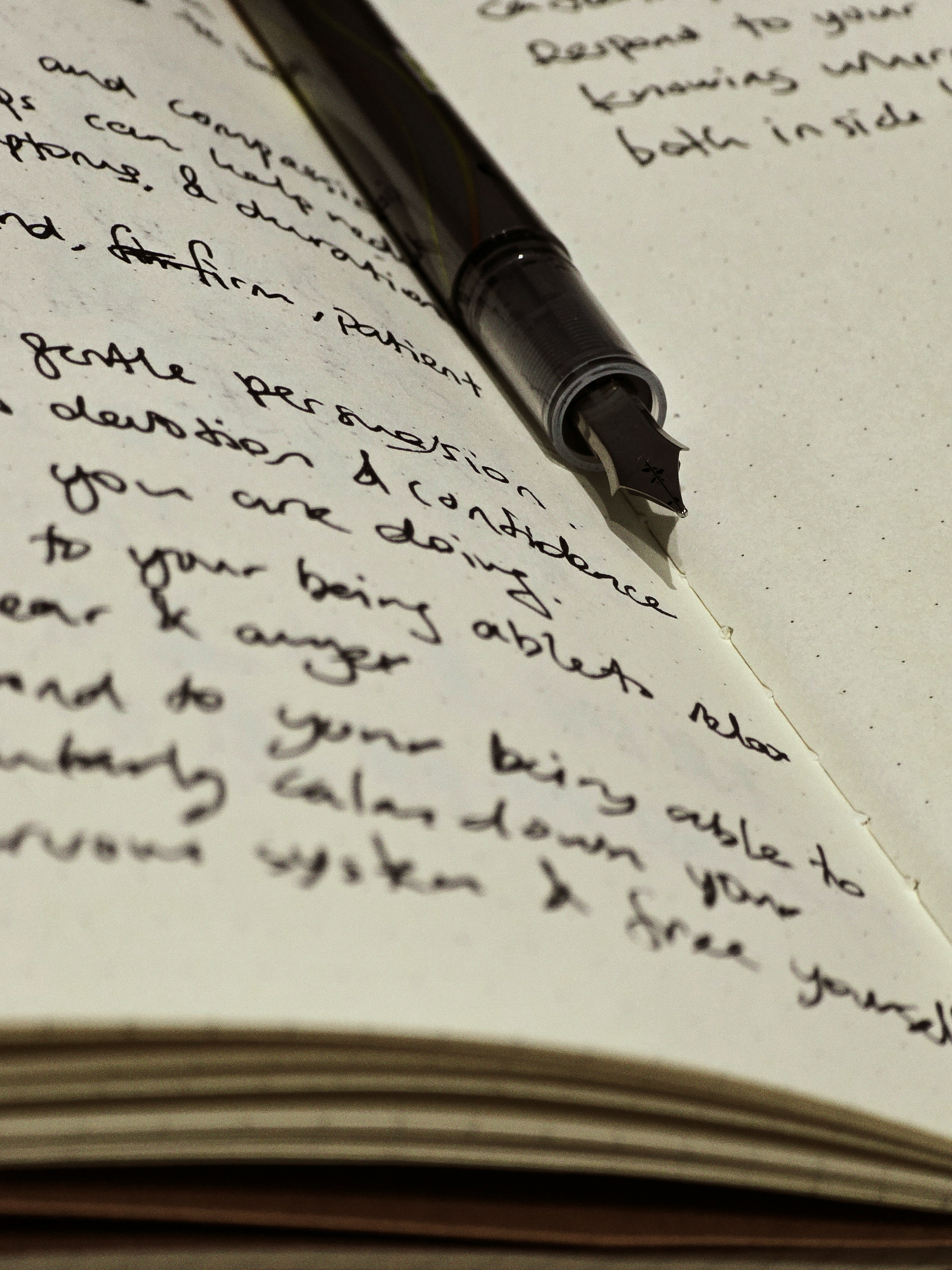 Close-up of a fountain pen writing on a page to show believable handwriting detail.